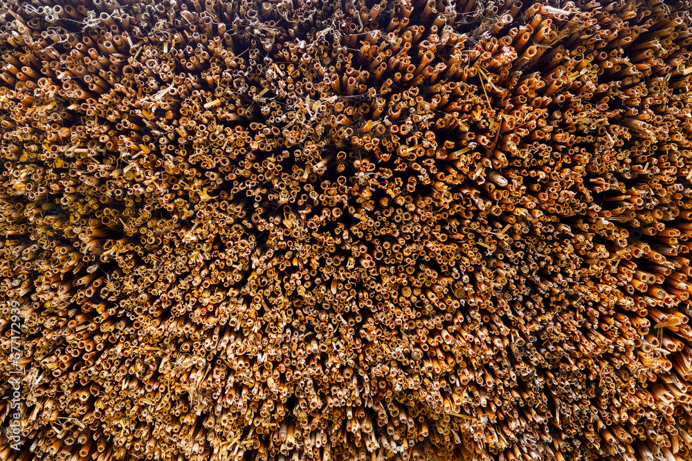 Straw Roof, old weathered thatched roof, thatch or thatching background texture from below Straw Roof, old weathered thatched roof, thatch or thatching background texture from below