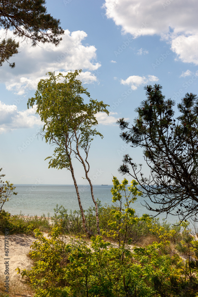 Vertical scenic shot of sand dunes overlooking the Baltic Sea with ships visible in the distance. Vertical scenic shot of sand dunes overlooking the Baltic Sea with ships visible in the distance.