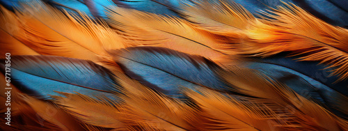 Captivating feather textures in vivid shades.