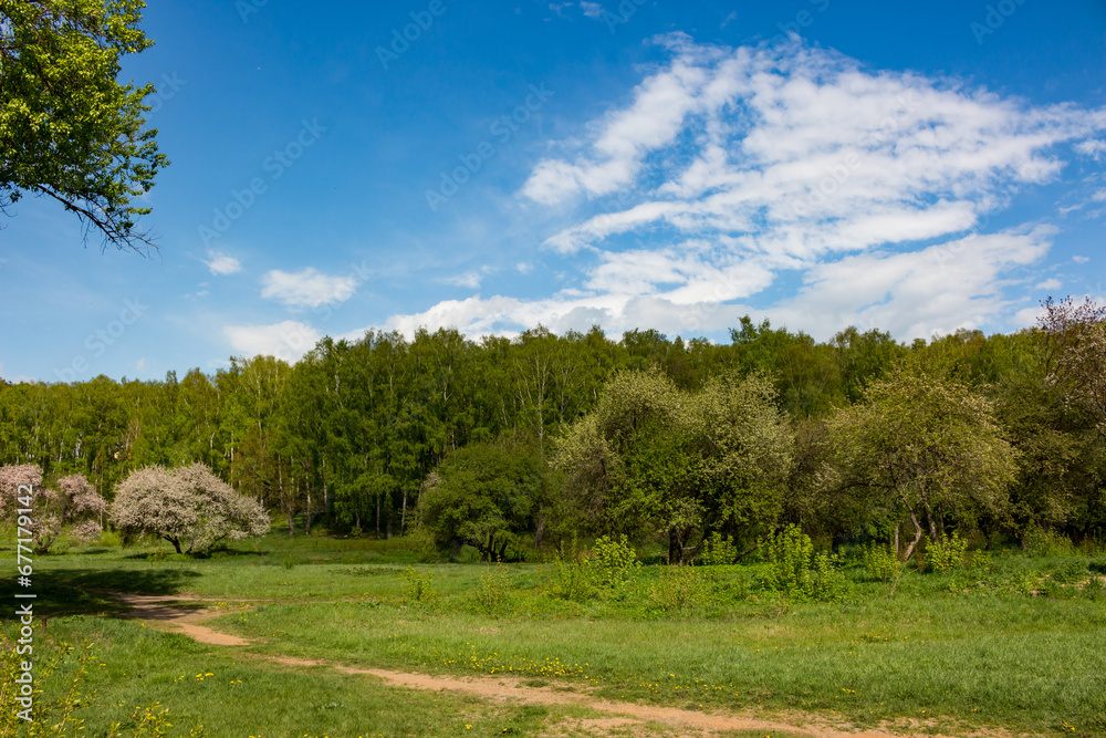 Natural landscape with fields and forest against a blue sky