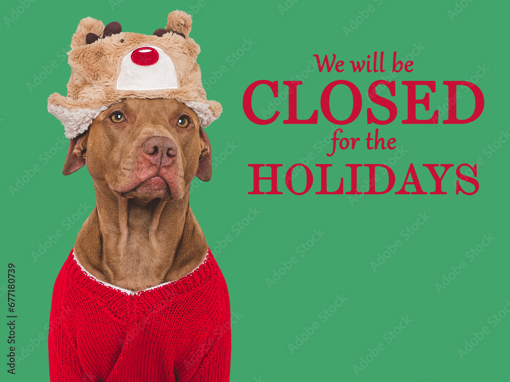 Signboard with the inscription We will be closed for the Holidays. Cute dog and red knitted sweater. Closeup, indoors. Studio shot. Pets care concept