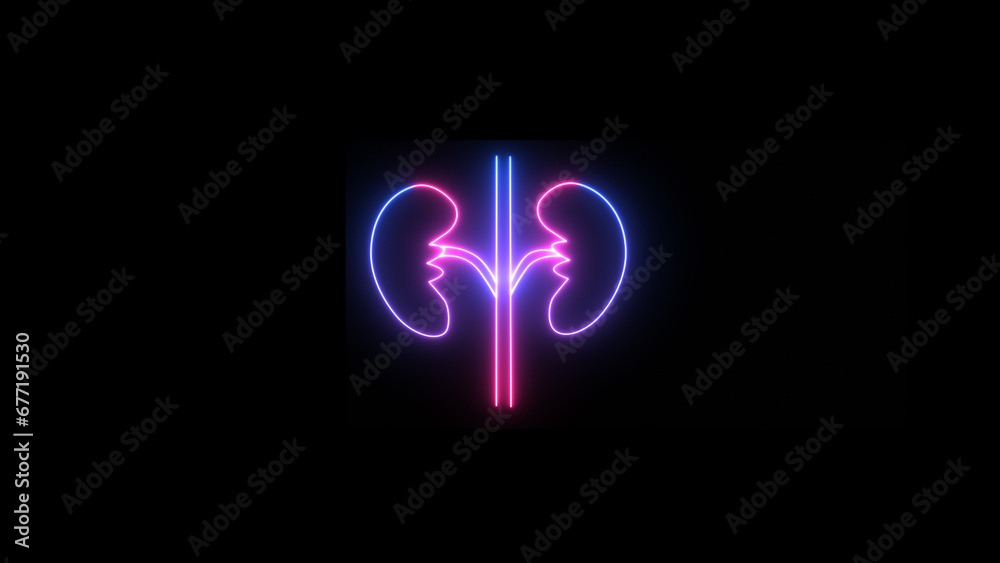 Neon kidney icon in a line style for humans. symbol for the urinary system component. kidney-line symbol. Neon kidney icon in a line style for humans. symbol for the urinary system component. kidney-line symbol.