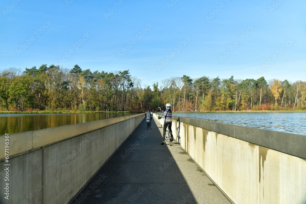 Fototapeta premium Passage dans l'étang mais à sec à la réserve naturelle des marais de Bokrijk au Limbourg 