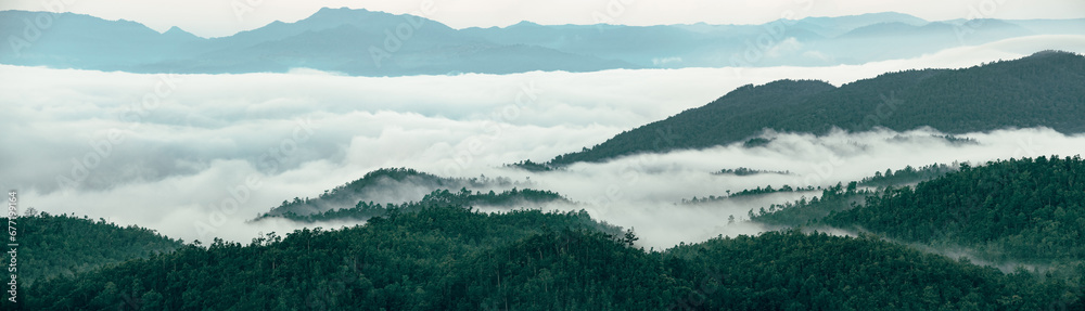 Panorama view of foggy mountain landscape. Aerial view of dark green trees in mountain forest and fog in winter. Fog covered dark green forest landscape. Nature landscape. Green environment background