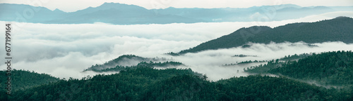 Panorama view of foggy mountain landscape. Aerial view of dark green trees in mountain forest and fog in winter. Fog covered dark green forest landscape. Nature landscape. Green environment background