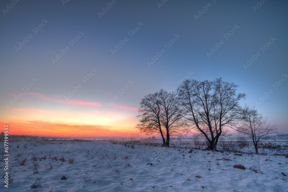 landscape winter trees and fields covered by snow in Poland, Europe on sunny day in winter, amazing clouds in blue sky landscape winter trees and fields covered by snow in Poland, Europe on sunny day in winter, amazing clouds in blue sky