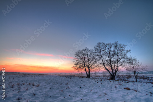 landscape winter trees and fields covered by snow in Poland, Europe on sunny day in winter, amazing clouds in blue sky