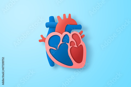 Paper craft of the human heart on blue background. Cross section of human heart for health care concept.
