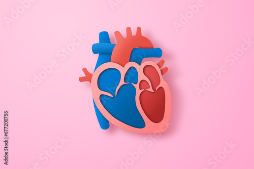 Paper craft of the human heart on pink background. Cross section of human heart for health care concept.