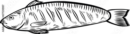 Grilled fish line drawing vector illustration.