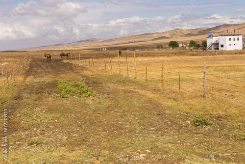 Landscape of the Georgian steppe Udabno in Georgia. photo