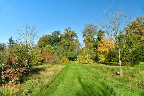 Variété d'arbres ou d'arbustes à feuillage parfois dorée à l'arboretum de Wespelaar près de Louvain