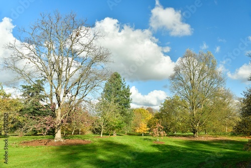 Les multiples vari  t  s des arbres en automne    l arboretum de Wespelaar    Haacht 