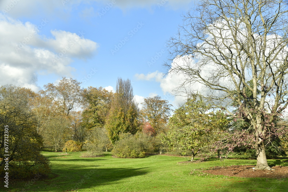 Les multiples variétés des arbres en automne à l'arboretum de Wespelaar à Haacht Les multiples variétés des arbres en automne à l'arboretum de Wespelaar à Haacht