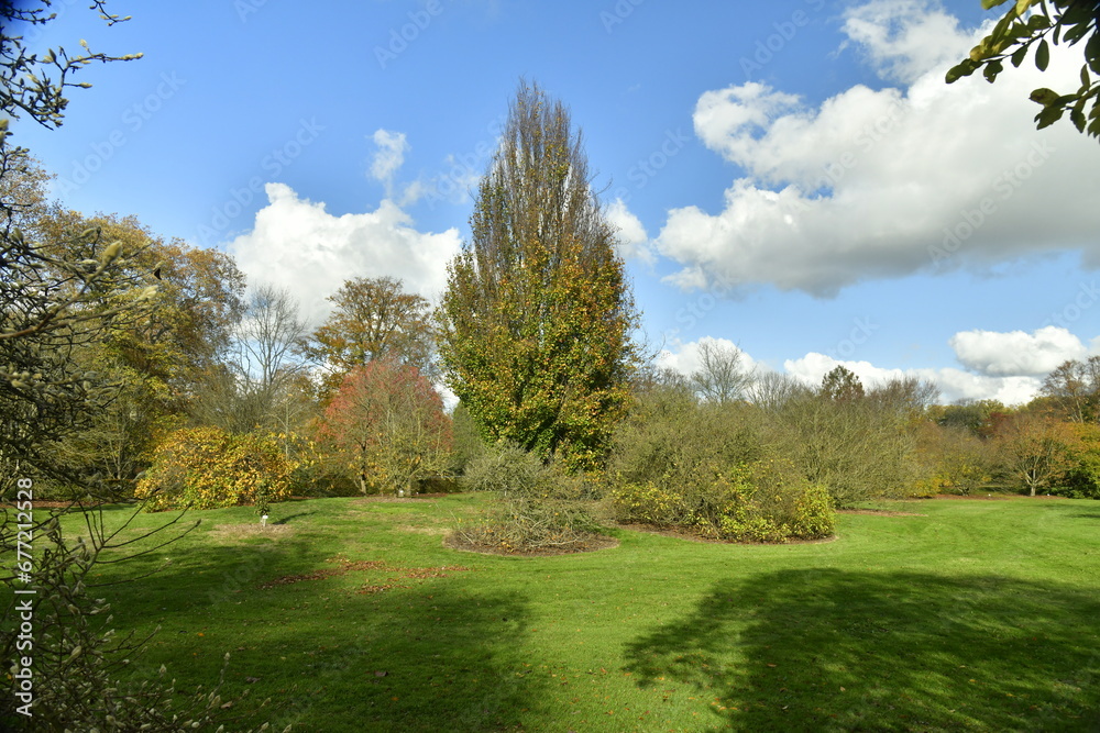 Les multiples variétés des arbres en automne à l'arboretum de Wespelaar à Haacht Les multiples variétés des arbres en automne à l'arboretum de Wespelaar à Haacht