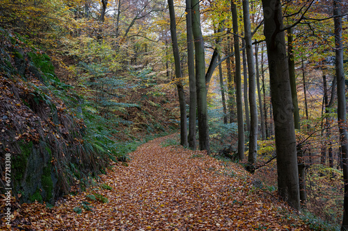 Herbst im Schwarzatal bei Bad Blankenburg, Thüringen