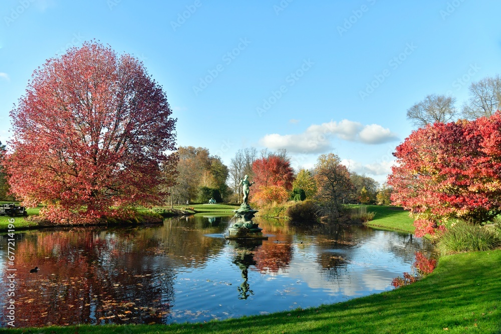Les arbres à feuillage pourpre le long de la pièce d'eau à l'arboretum de Wespelaar à Haacht Les arbres à feuillage pourpre le long de la pièce d'eau à l'arboretum de Wespelaar à Haacht