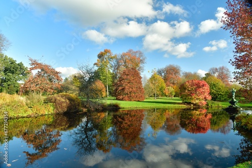 Les arbres à feuillage pourpre le long de la pièce d'eau à l'arboretum de Wespelaar à Haacht 
