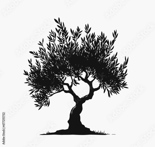 Olive tree silhouette synbol isolated for printing. Albero di olivo per etichette, marchio, brand, extra vergine. Black and white.