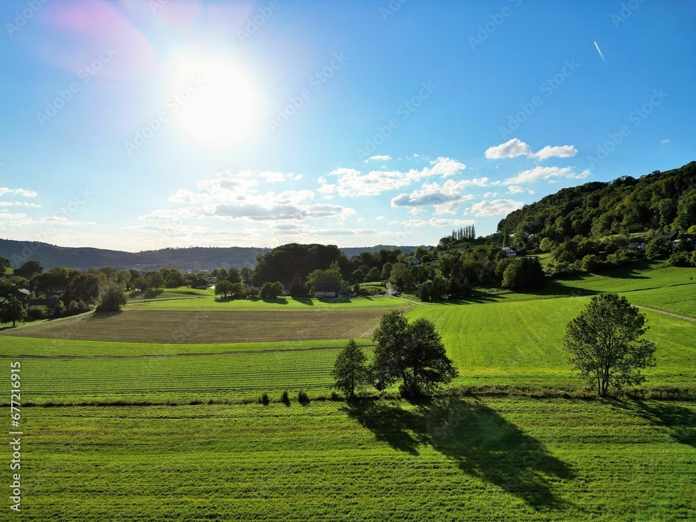Beautiful summer countryside landscape with a green field and woods.
