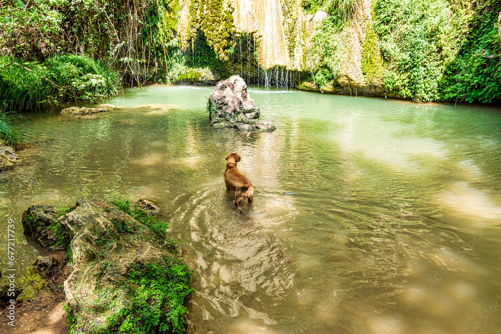Waterfall of Kalamaris, a natural reserve in Gialova region, Messinia prefecture, Peloponnese, Greece, Europe. Waterfall of Kalamaris, a natural reserve in Gialova region, Messinia prefecture, Peloponnese, Greece, Europe.