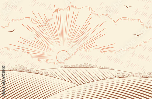 Rural landscape with sun and hills. Agricultural fields and gardens.