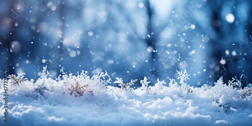 Snowflakes Adorning Winter Day