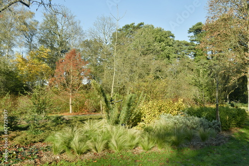 La végétation luxuriante par de nombreuses variété de spécimens à l'arboretum du domaine provincial de Bokrijk