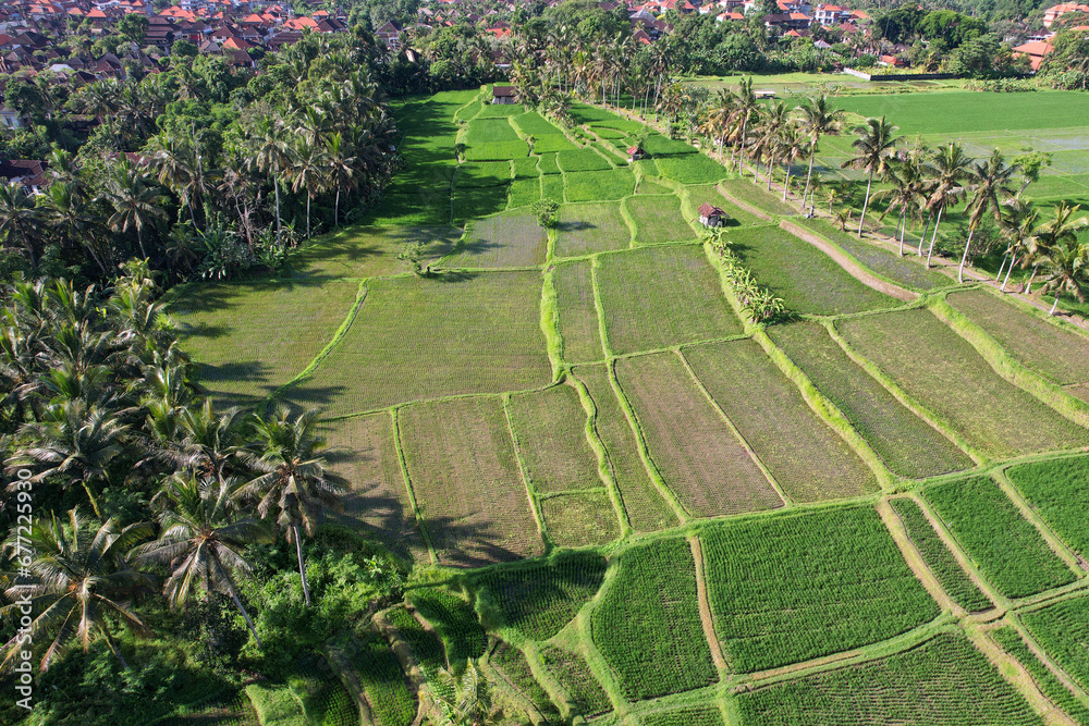 Aerial view of Ubud town on sunny day. Bali, Indonesia.