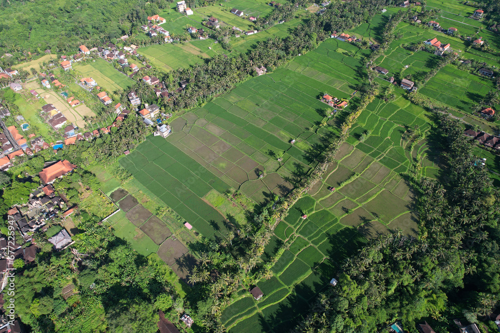 Aerial view of Subak Juwuk Manis rice fields on sunny day. Surroundings of Ubud, Bali, Indonesia.