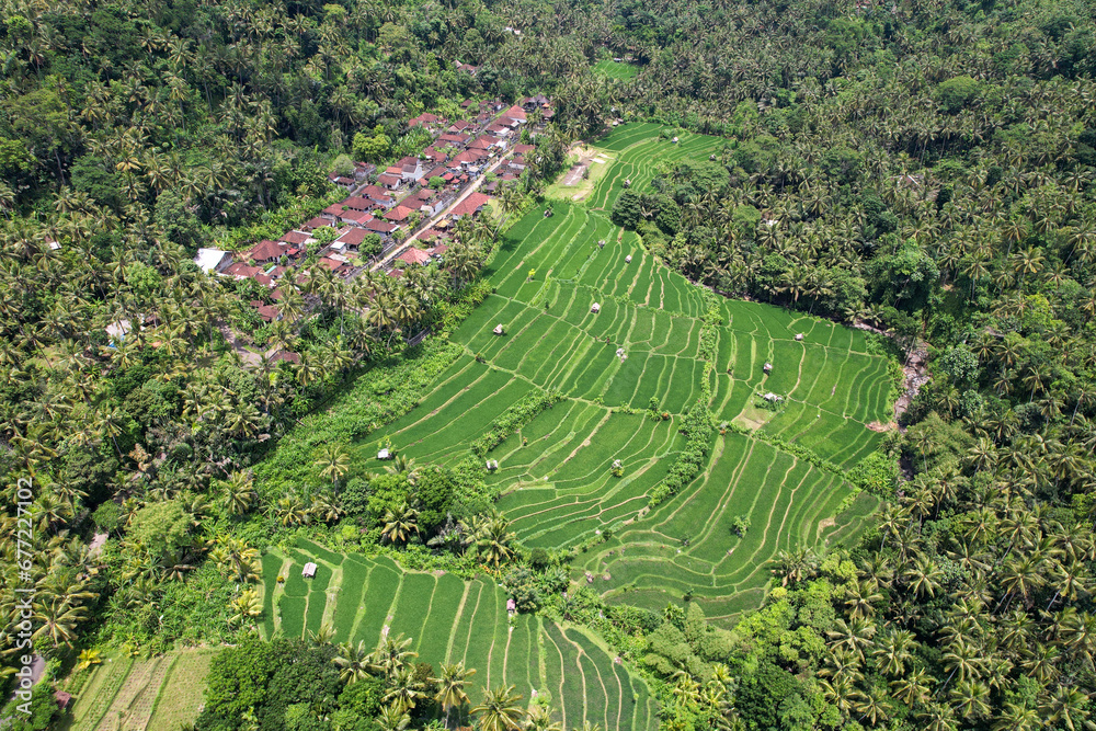 Drone view of rice fields and traditional Balinese village on sunny day. Manggis, Bali, Indonesia.