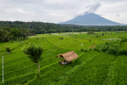 Rice fields on the background of Mount Agung on cloudy day. Surroundings of Temple of Penataran Agung Lempuyang, Bali, Indonesia.