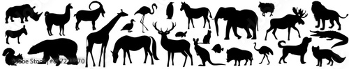 Wild animals and birds silhouette. Bear with giraffe and elk with elephant traced deer design with vector kangaroo
