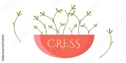 Microgreens cress in a beautiful red pot with text Cress. Useful eco-product. Flat design. Healthy green seedlings. Trendy modern vector illustration isolated on white background, hand drawn