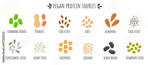 Vegan protein sources, edamame beans, peanuts, flax seeds, oats, almonds, chia seeds, sunflower seeds, hemp, chickpeas, pumpkin seed. Cartoon vegan healthy food. supplements for vegetarians. 