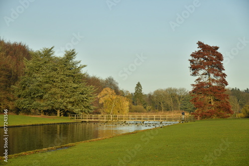 Le canal reliant les pièces d'eau vers la passerelle et l'arbre à feuillage pourpre en fin de journée d'automne au parc de Tervuren à l'est de Bruxelles 