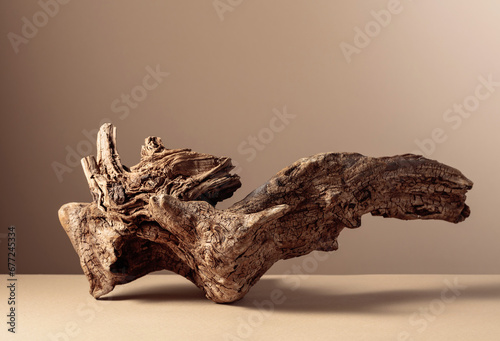Old dry wooden snag on a beige background. © Igor Normann