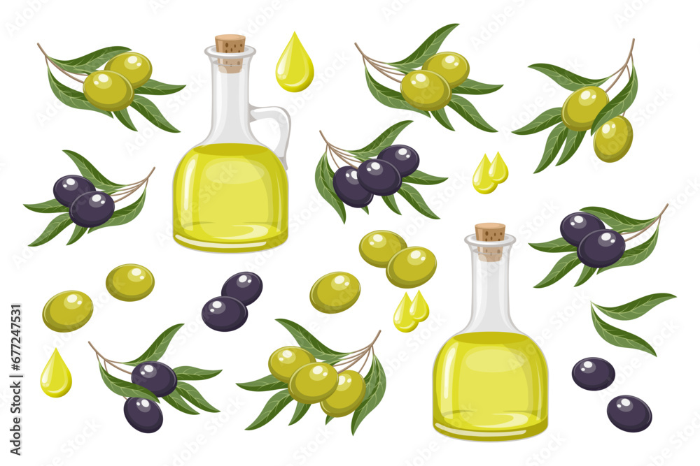Set of black and green olives. Olive oil, drops of oil and twigs with olives and leaves. Food illustration, vector - obrazy, fototapety, plakaty 