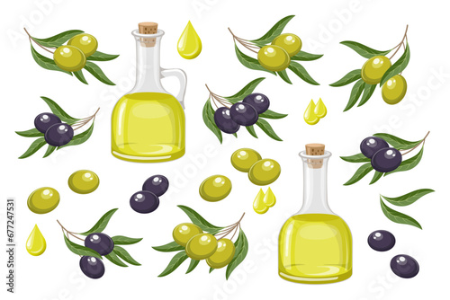 Set of black and green olives. Olive oil, drops of oil and twigs with olives and leaves. Food illustration, vector photo