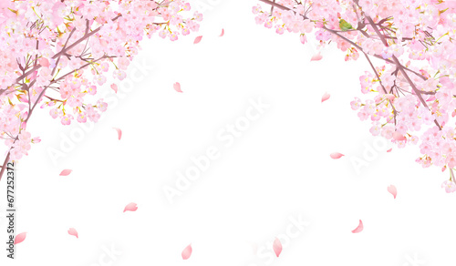 美しい薄いピンク色の桜の花とウグイスー花びら春の水彩白バックフレーム背景素材イラスト