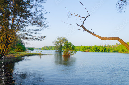 Backwaters at Battapady, near Mangalore photo