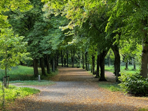 Pathway in a park in Amsterdam, The Netherlands