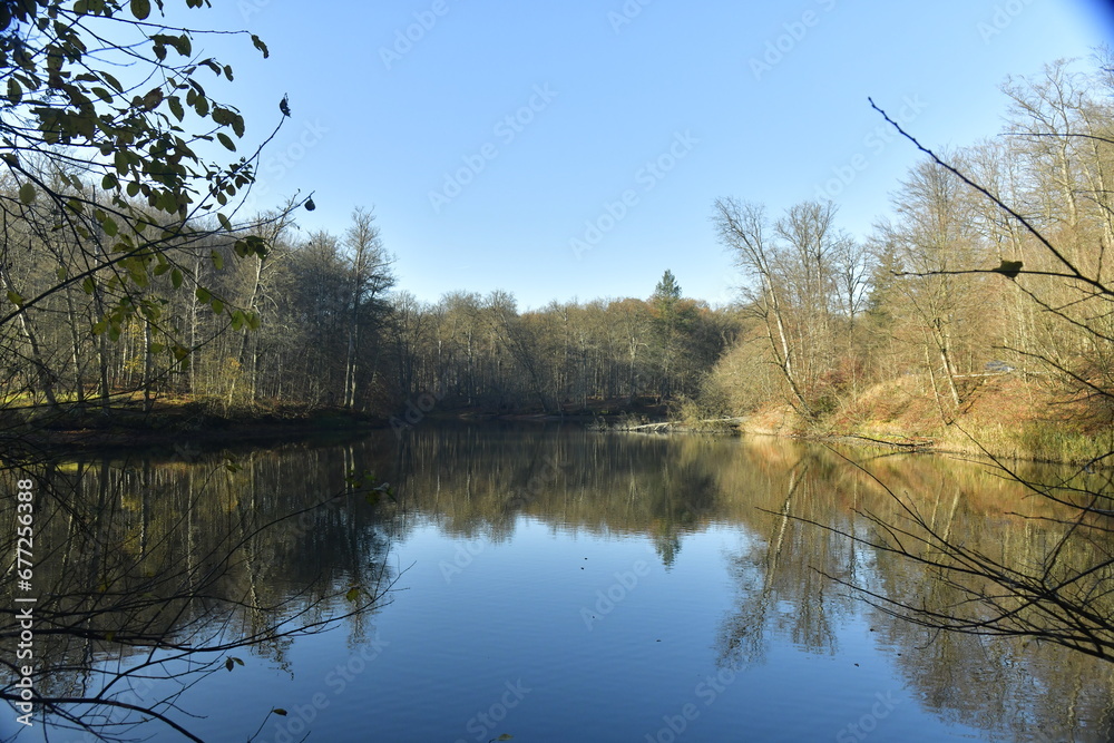 L'un des étangs en pleine forêt de Soignes à l'arboretum de Groenendael au sud-est de Bruxelles