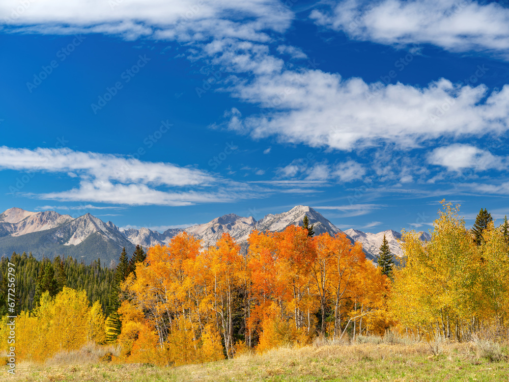 Autumn trees and Sawtooth mountain backdrop