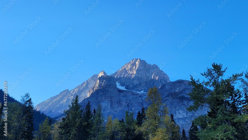 Landscape view of the fir forest trees and mountains against a blue sky