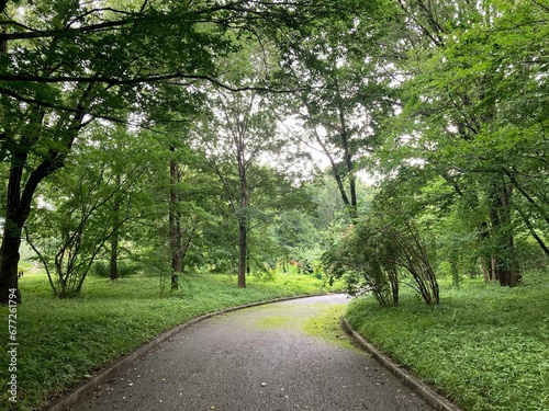 Beautiful shot of a walking trail through a green park in Japan