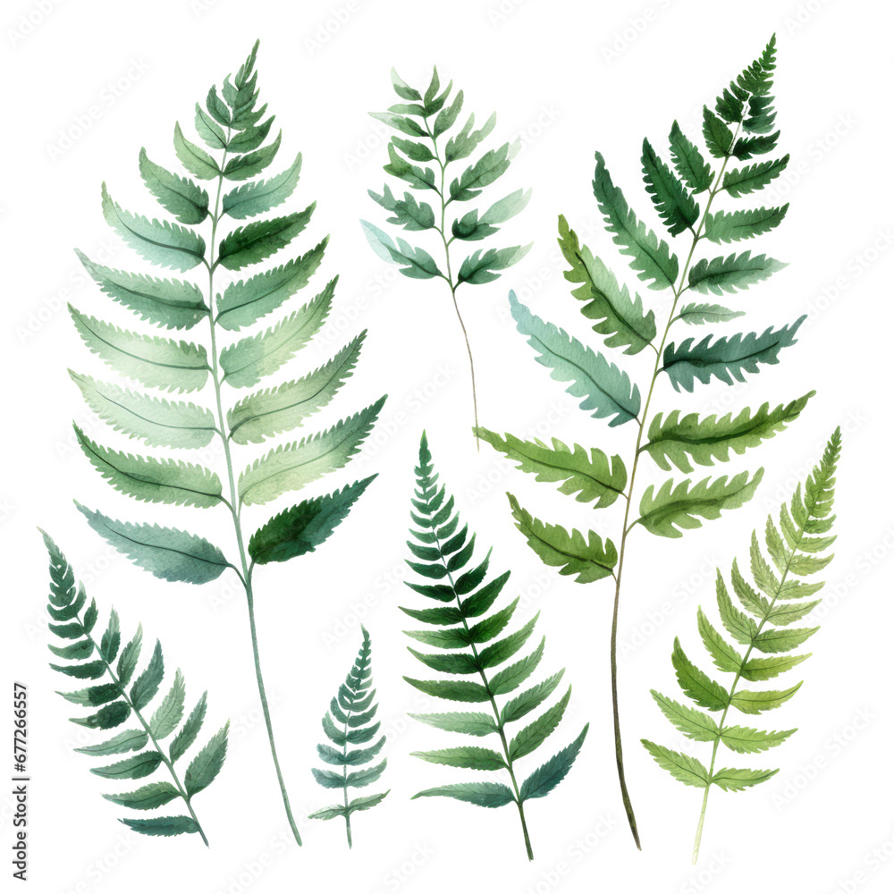 Green Leaves Botanical Watercolor Painting Illustration