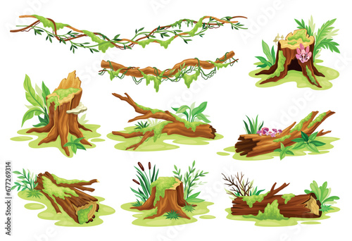 Moss on trees. Forest fungus on tree bark wood hollow stump, cartoon lichen jungle vegetation texture in log hole surface, swamp mosses leaf mushroom, neoteric vector illustration