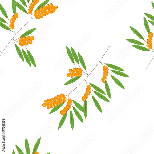 sea buckthorn sprig