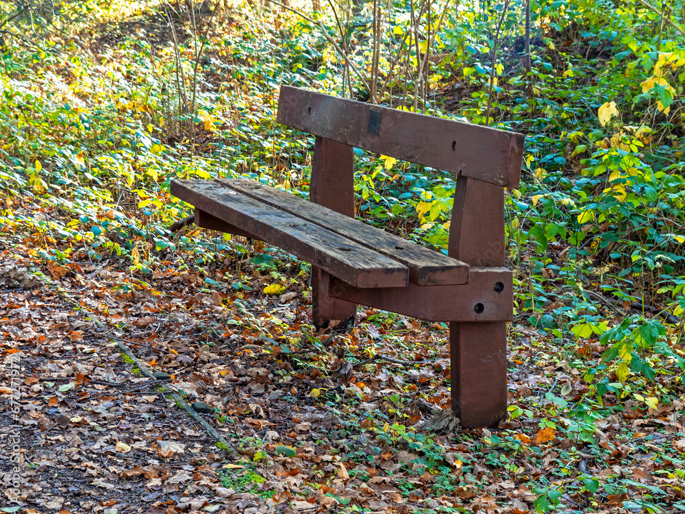 Wooden bench surrounded by fallen autumn leaves Wooden bench surrounded by fallen autumn leaves